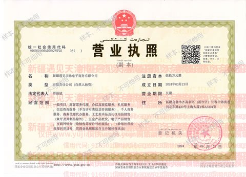 企业营业执照